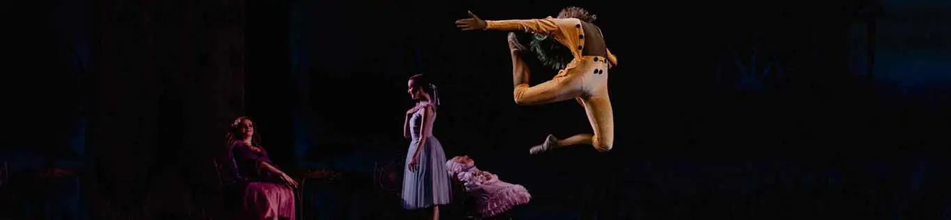 One of the Largest Collection in America 